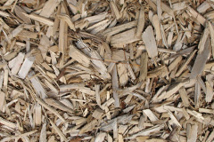 biomass boilers Rhydding